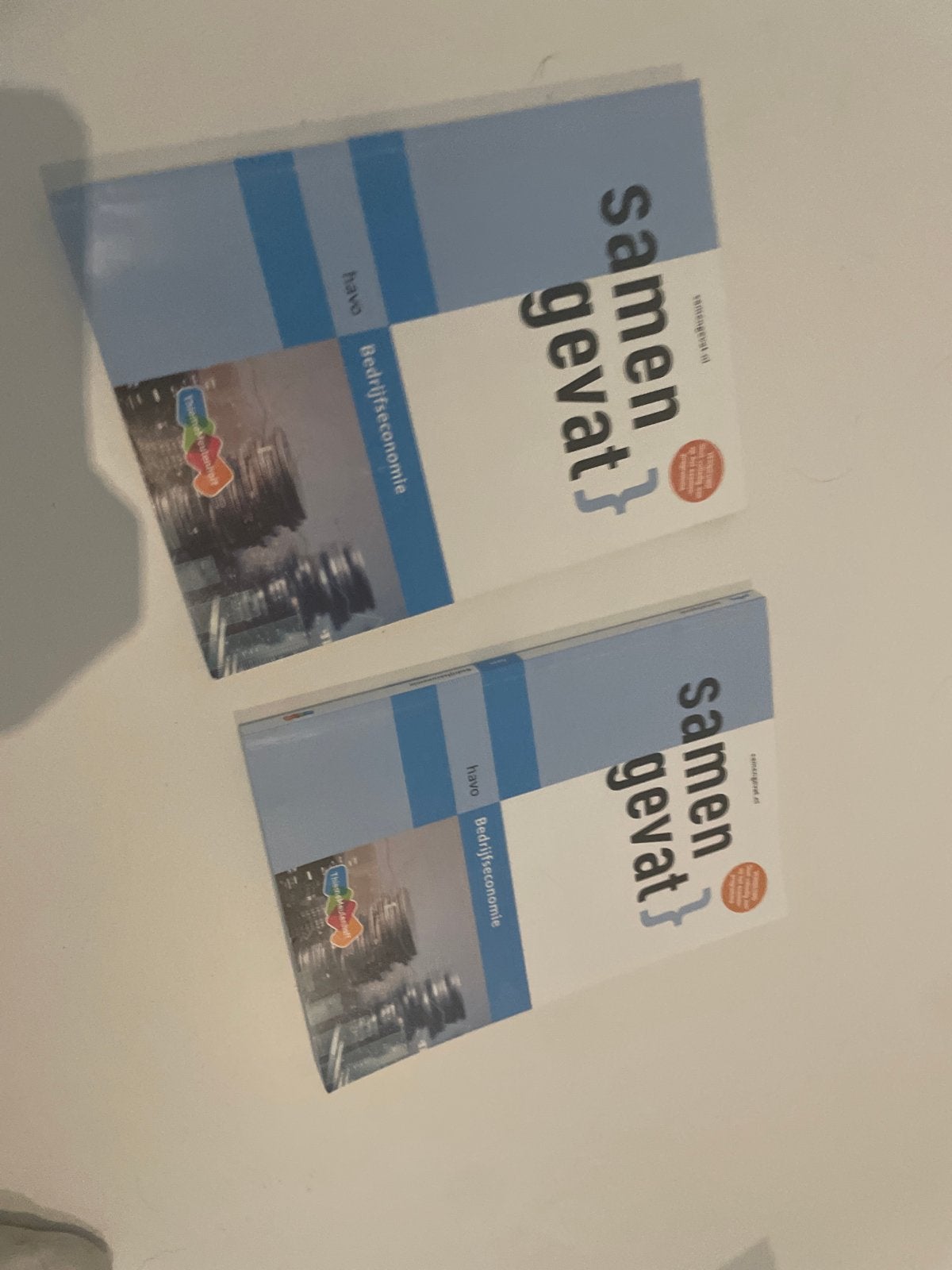 Samengevat Bedrijfseconomie HAVO, Boeken, Schoolboeken, Ophalen of Verzenden, Gelezen, HAVO, Bedrijfseconomie of M&O