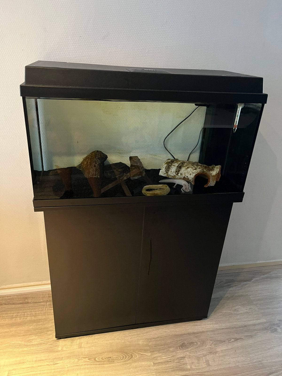 Axolotl incl aquarium en meubel, Dieren en Toebehoren, Vissen | Aquaria en Toebehoren, Ophalen, Gebruikt, Aquariummeubel, Juwel