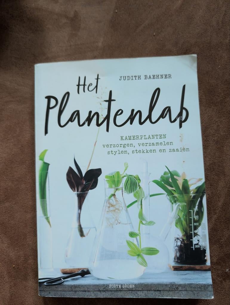 Het Plantenlab: Kamerplanten verzorgen, verzamelen, stylen, Boeken, Ophalen of Verzenden, Gelezen, Judith Baehner, Kamerplanten