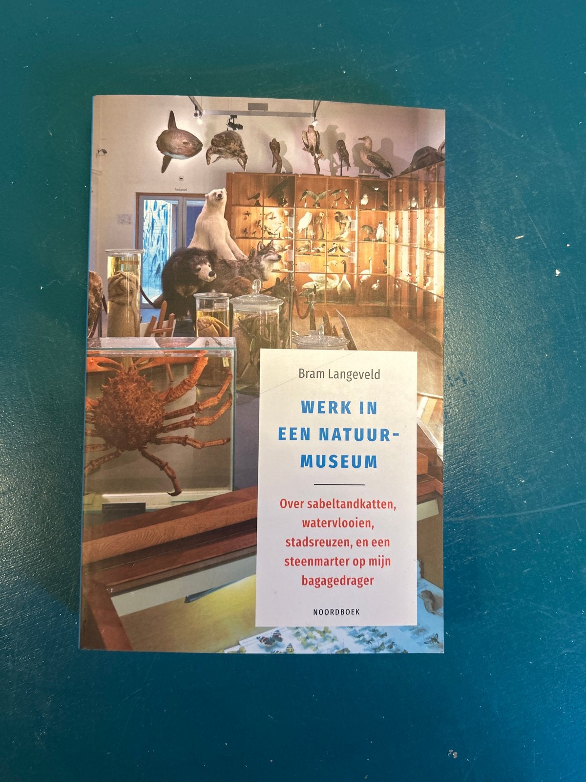 Werk in een Natuurmuseum - Bram Langeveld, Boeken, Ophalen of Verzenden, Nieuw, Overige onderwerpen