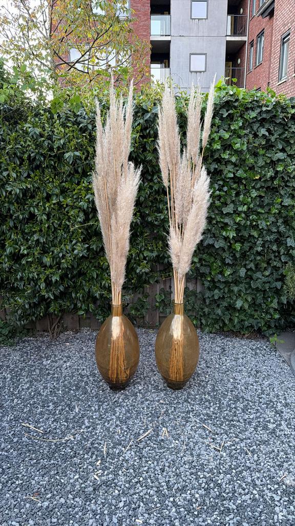 Pampasgras / droogbloemen, Huis en Inrichting, Ophalen, Overige kleuren, 75 cm of meer, Glas