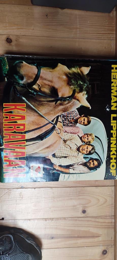 Herman lippinkhof lp karavaan, Cd's en Dvd's, Vinyl Singles, Ophalen of Verzenden, Zo goed als nieuw, Nederlandstalig