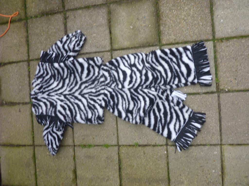 CARNAVAL, kind, zebra, carnavalspak, Ophalen of Verzenden, Gebruikt, Jongen of Meisje