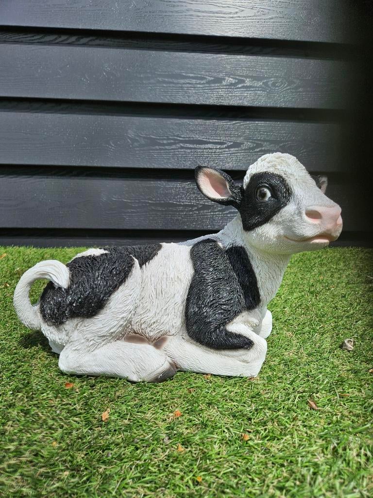 Leuke beelden koe varken geit honden kippen katten enz, Ophalen of Verzenden, Nieuw