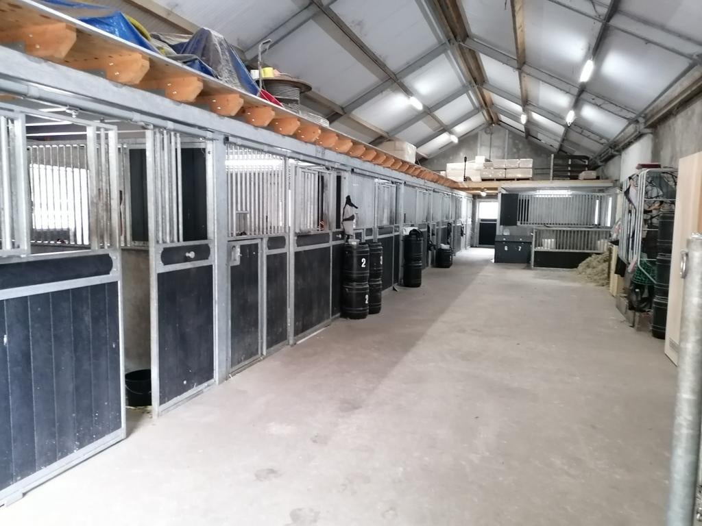 Stalling strak aan het bos, Weidegang