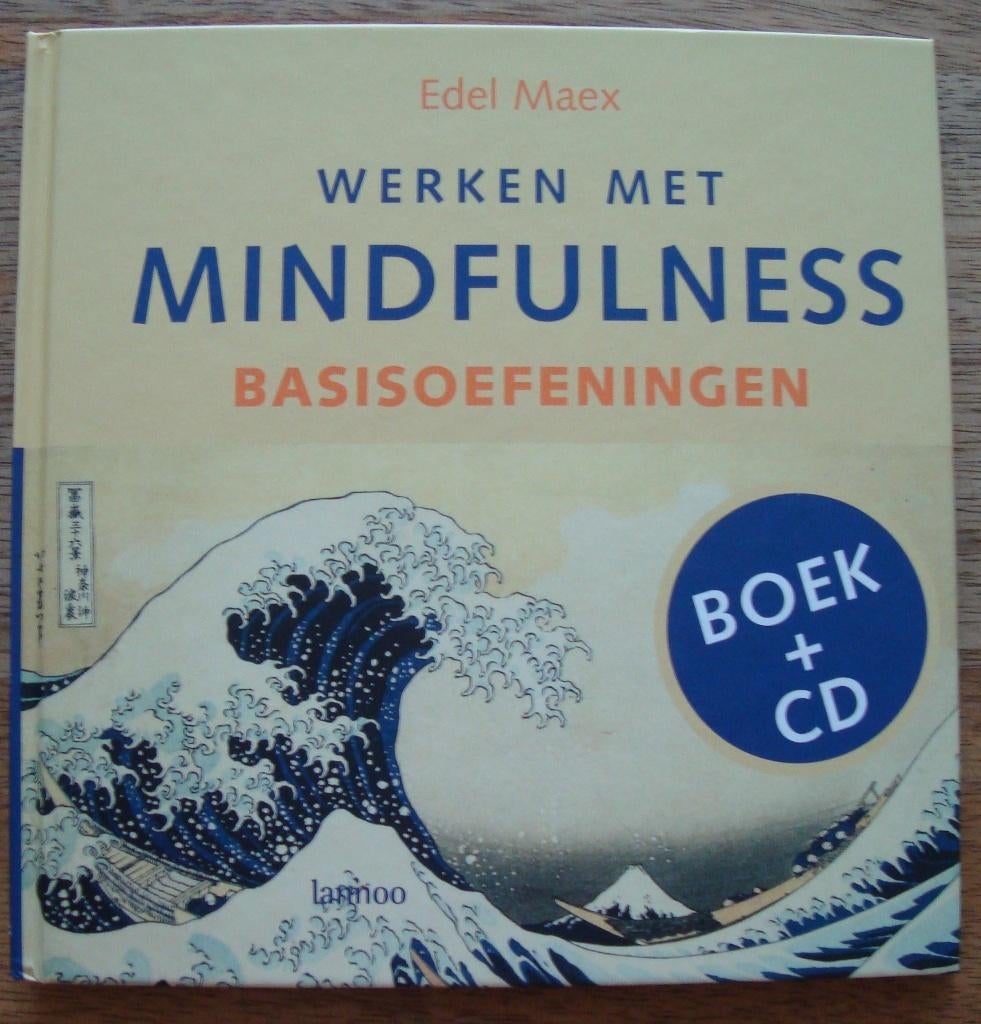 Werken met mindfulness Basisoefeningen incl. CD - Edel Maex, Achtergrond en Informatie, Zo goed als nieuw, Overige onderwerpen