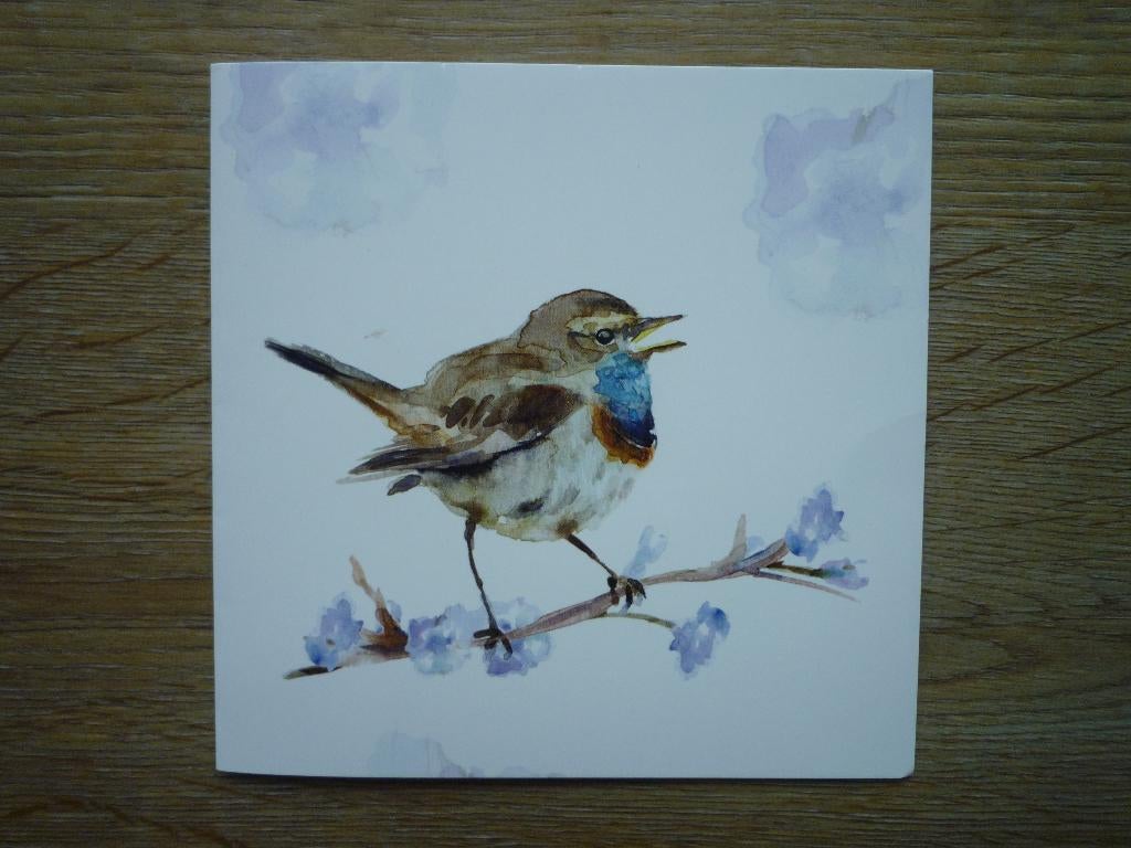 Kunstkaart blauwborst vogel Michelle Dujardin, Ophalen of Verzenden, Voor 1920, Vogel