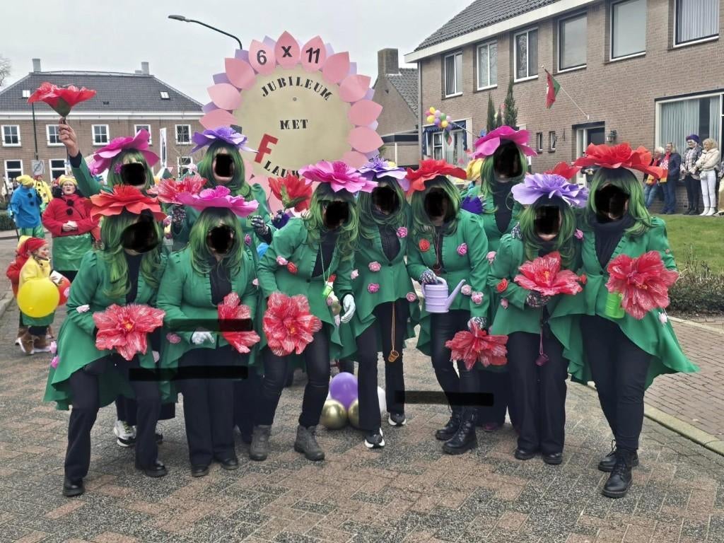 Feestkleding, Ophalen, Carnaval, Maat 42/44 (L), Zo goed als nieuw