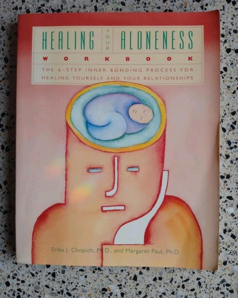 Healing Your Aloneness Workbook zgan vaste prijs, Boeken, Ophalen of Verzenden, Zo goed als nieuw