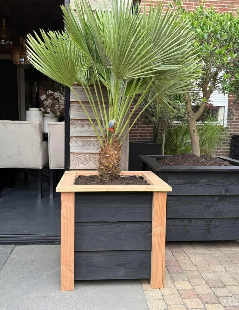 DOUGLAS BLOEMBAK MET VULCANO OP STAM, Tuin en Terras, Bloembakken en Plantenbakken, Ophalen, Nieuw, Hout, Tuin