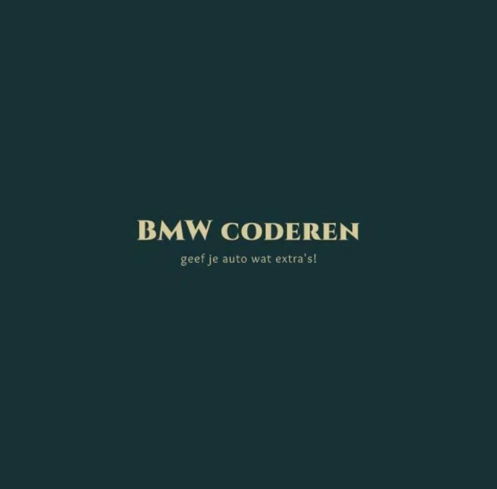 BMW & MINI Coderen, programmeren, navi update en onderhoud!, 24-uursservice, Overige werkzaamheden