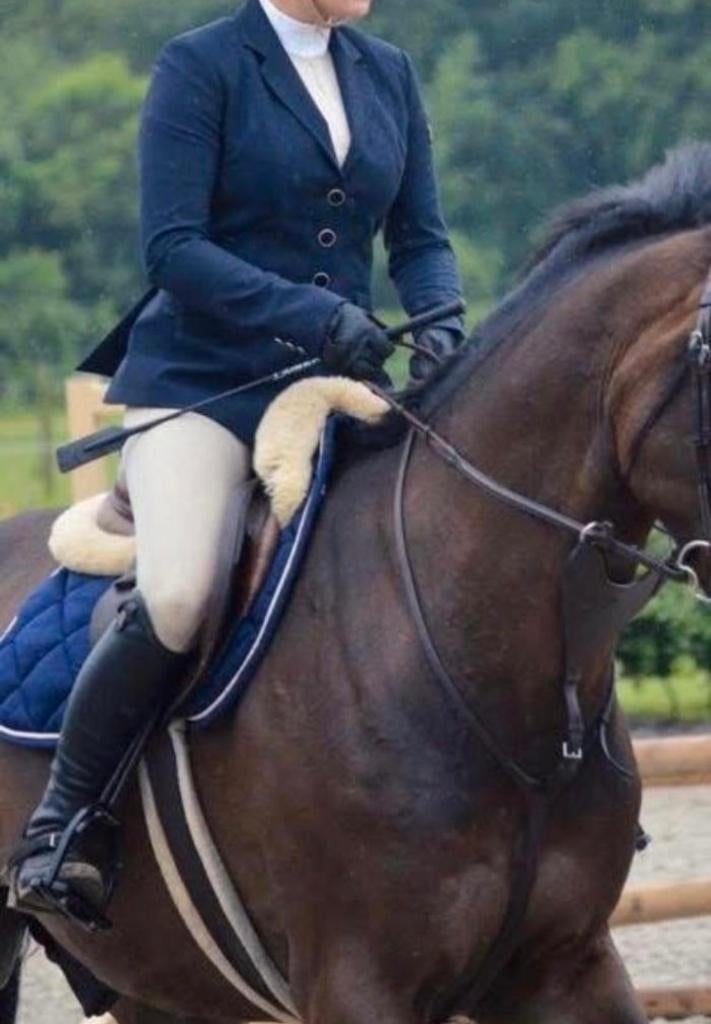 Equiline rijjasje donkerblauw X-cool IT maat 42, NL maat 38, Gebruikt, Ophalen of Verzenden, Springen, Dames