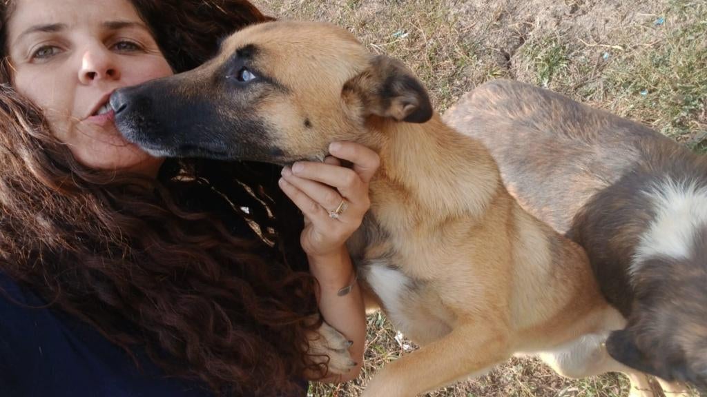 Raya – Een dappere dame op zoek naar een thuis, Dieren en Toebehoren, Honden | Niet-rashonden, Particulier, 1 tot 2 jaar, Buitenland