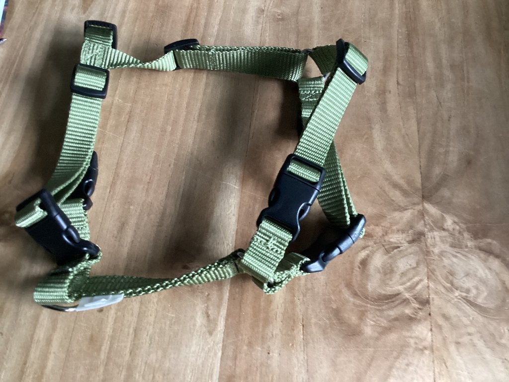 Abaca Hondentuig voor kleine hond, Dieren en Toebehoren, Honden-accessoires, Ophalen of Verzenden, Nieuw