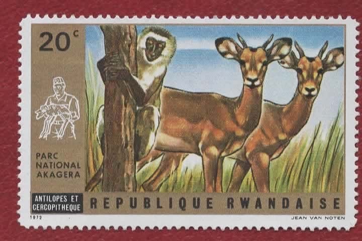 Fauna - Dieren - Hert - Rwanda - 20c - postfris, Ophalen of Verzenden, Postfris, Dier of Natuur