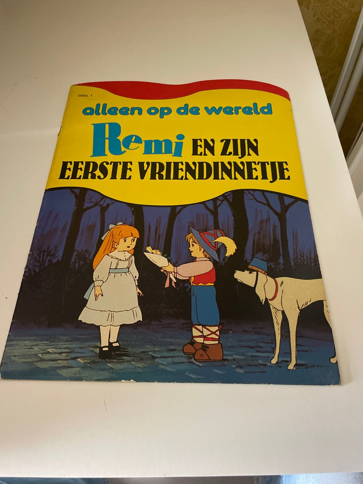 Alleen op de wereld - Remi en zijn eerste vriendinnetje, Ophalen of Verzenden, Gelezen, Fictie algemeen