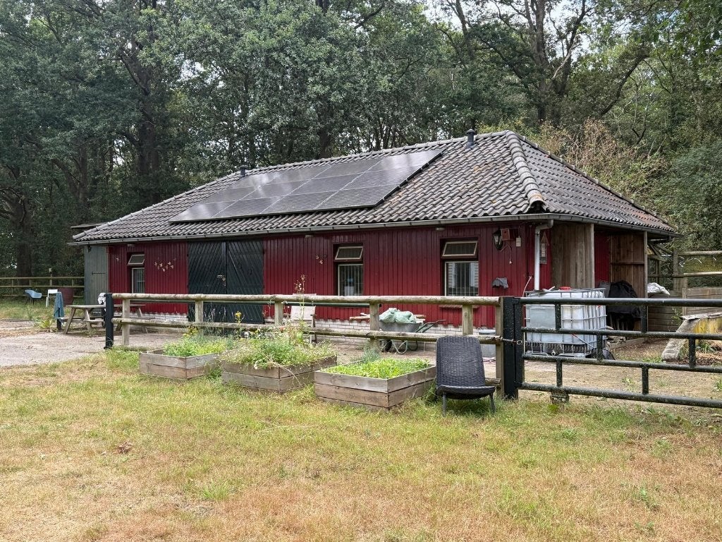 Unieke paardenlocaite te huur Assen / Taarlo, Dieren en Toebehoren, Weidegang, 4 paarden of pony's of meer