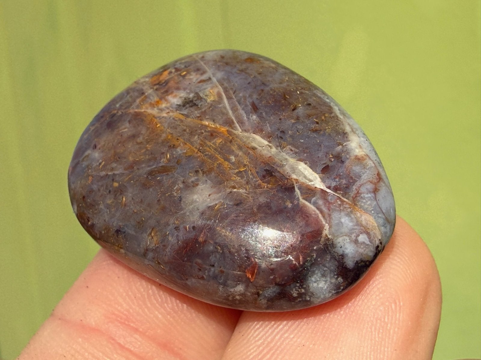 Pietersiet legger palmsteen mineralen, Ophalen of Verzenden, Mineraal