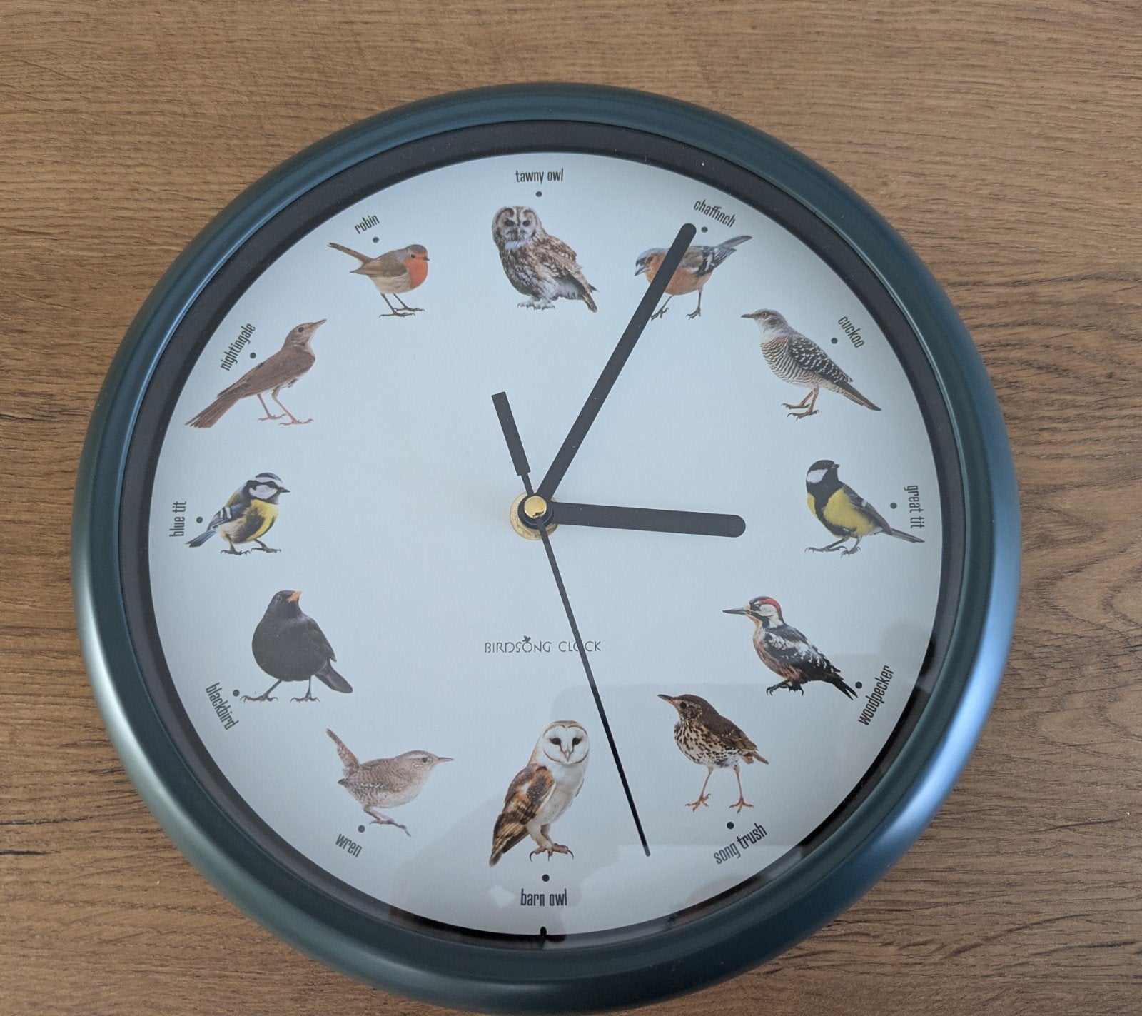Klok met vogelgeluid, Ophalen of Verzenden, Nieuw, Wandklok