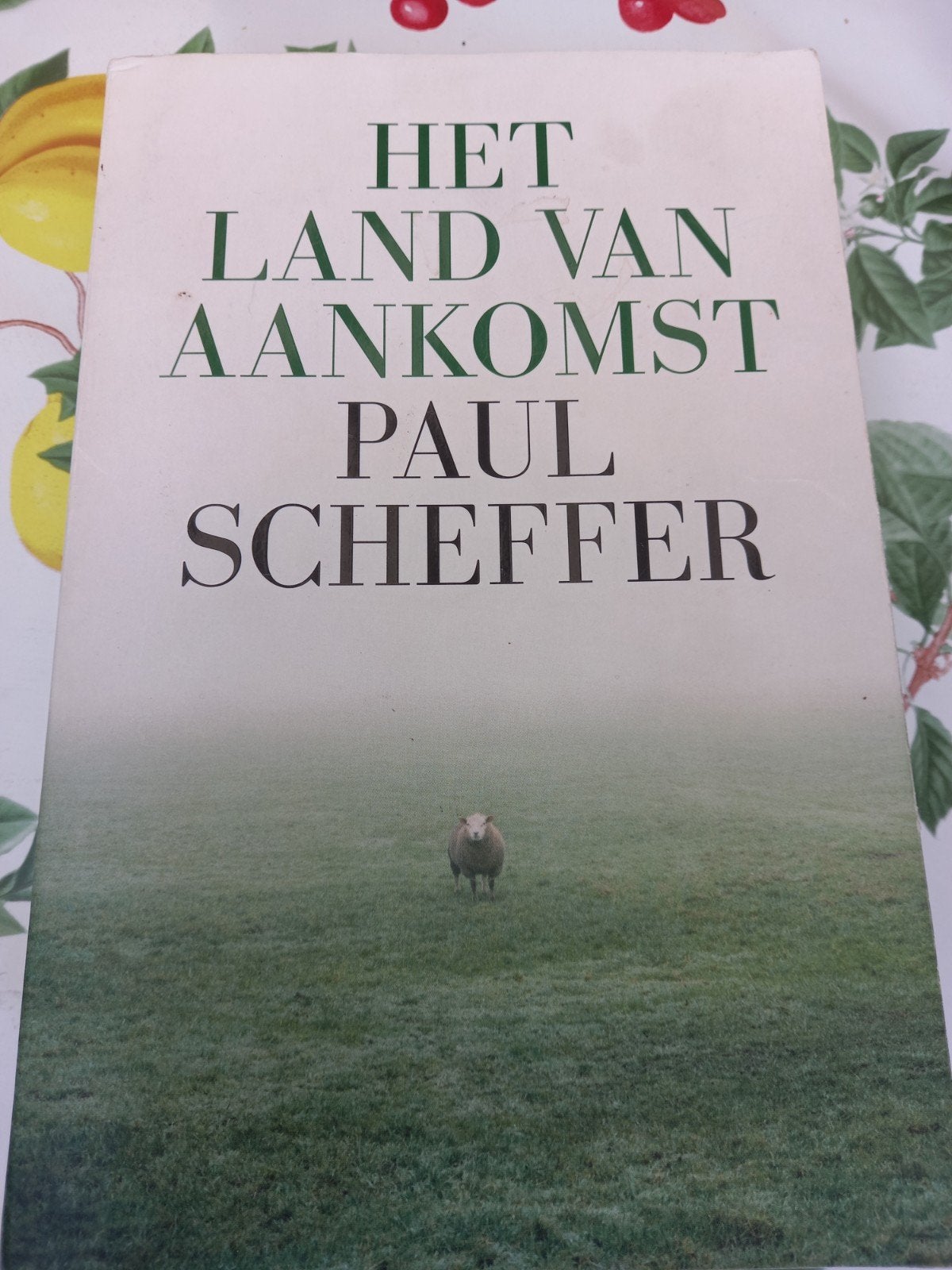 W Paul Scheffer - Het land van aankomst, Boeken, Ophalen of Verzenden, Zo goed als nieuw, Paul Scheffer