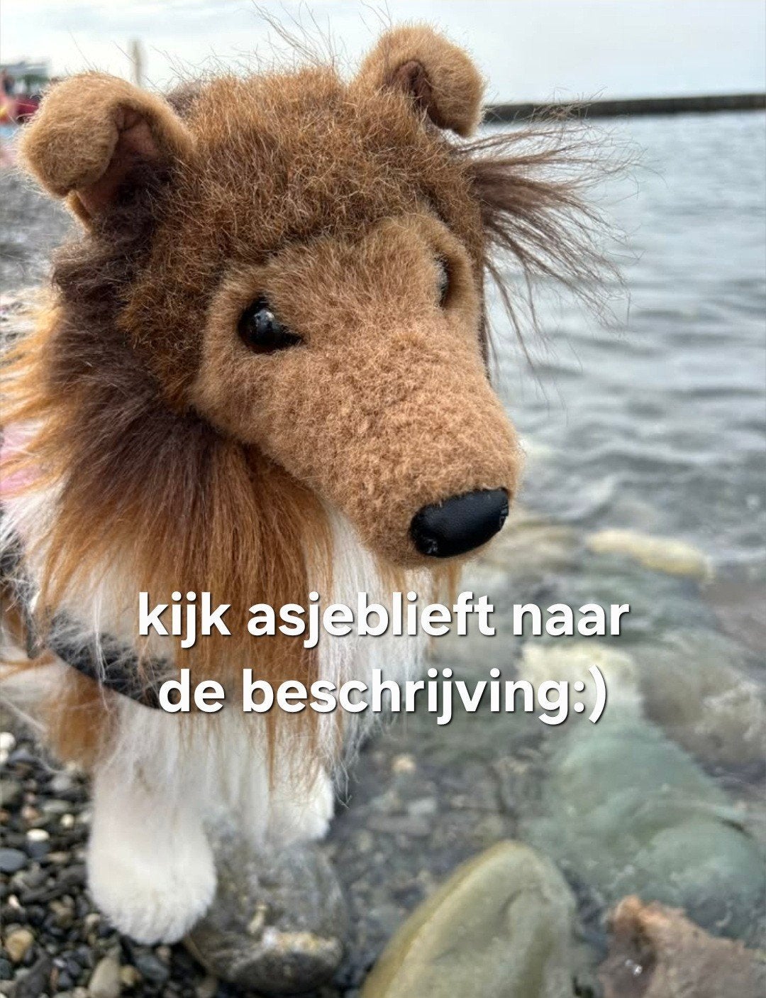 GEZOCHT: gebruikte douglas knuffel, Kinderen en Baby's, Ophalen of Verzenden, Gebruikt, Overige typen