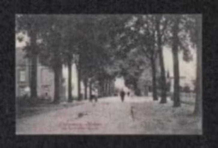 Meppel Stationsweg Volk 1915., Ophalen of Verzenden, Voor 1920, Gelopen, Drenthe