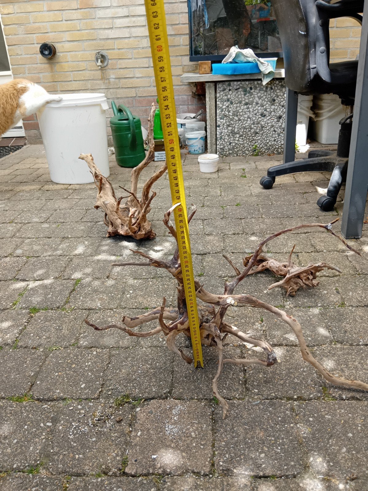 2 x spiderwood voor aquarium  alleen ophalen, Ophalen