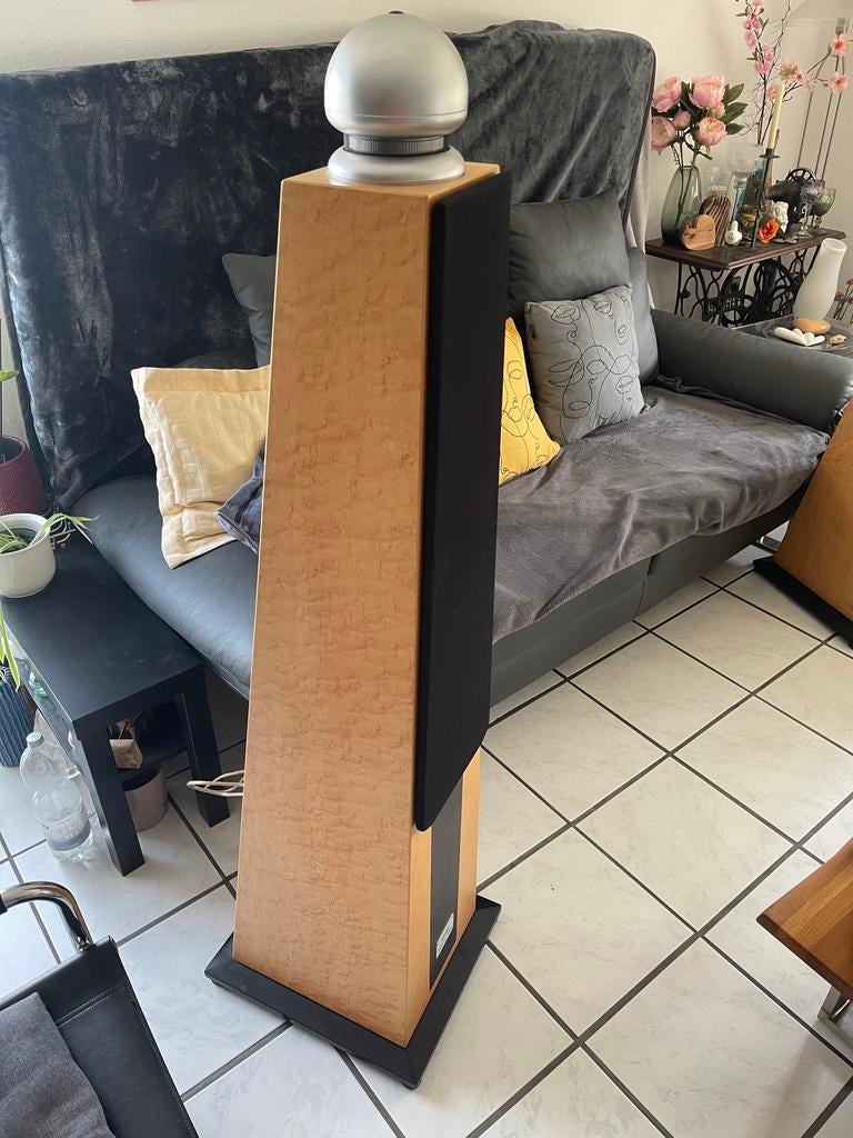 Elac Spirit of Music Highend Reference Ribbon Loudspeaker, Zo goed als nieuw, 120 watt of meer, Front, Rear of Stereo speakers
