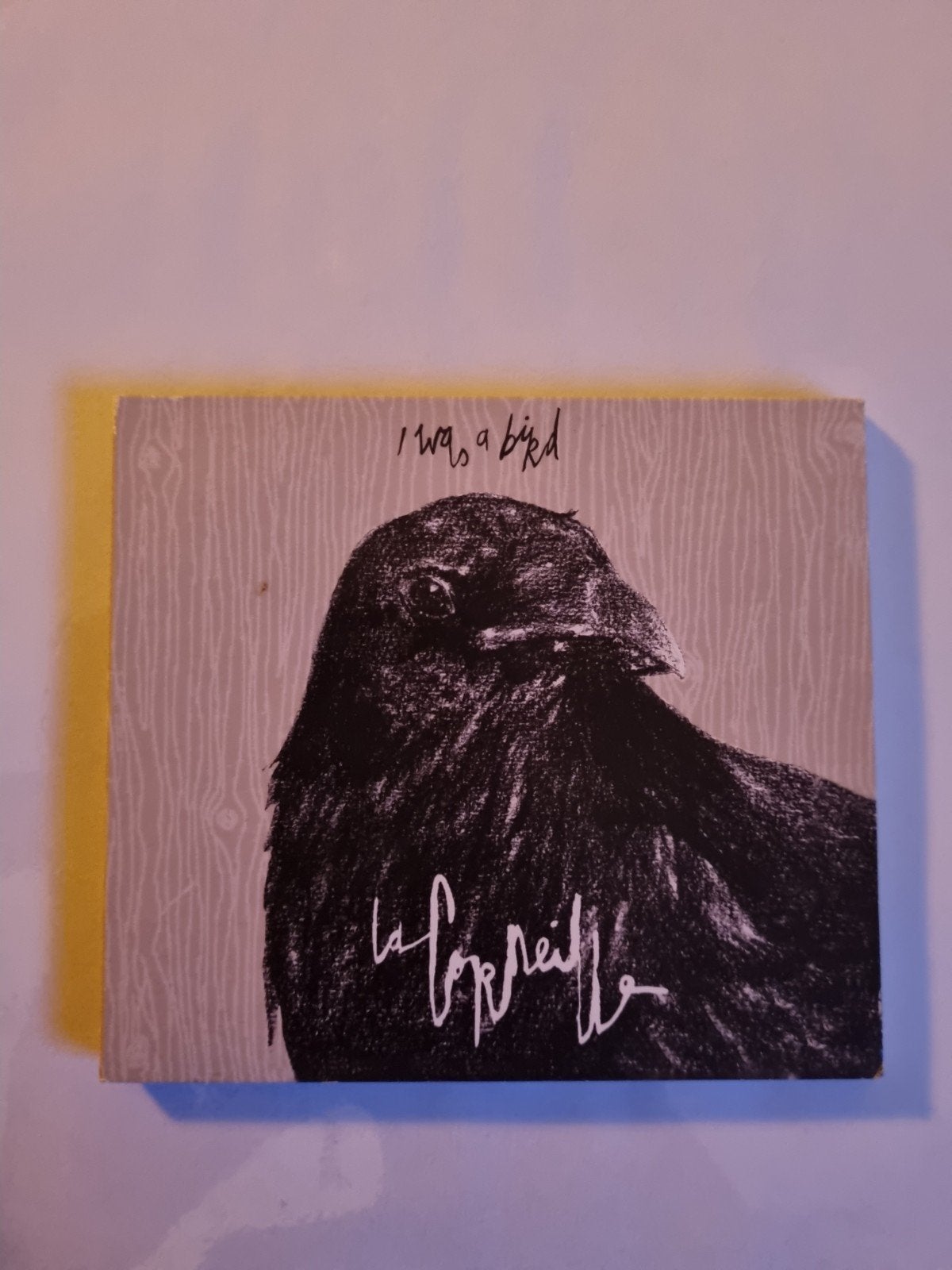 La Corneille - I was a bird. Cd. 2015
Gesigneerd.
Code 87136, Ophalen of Verzenden
