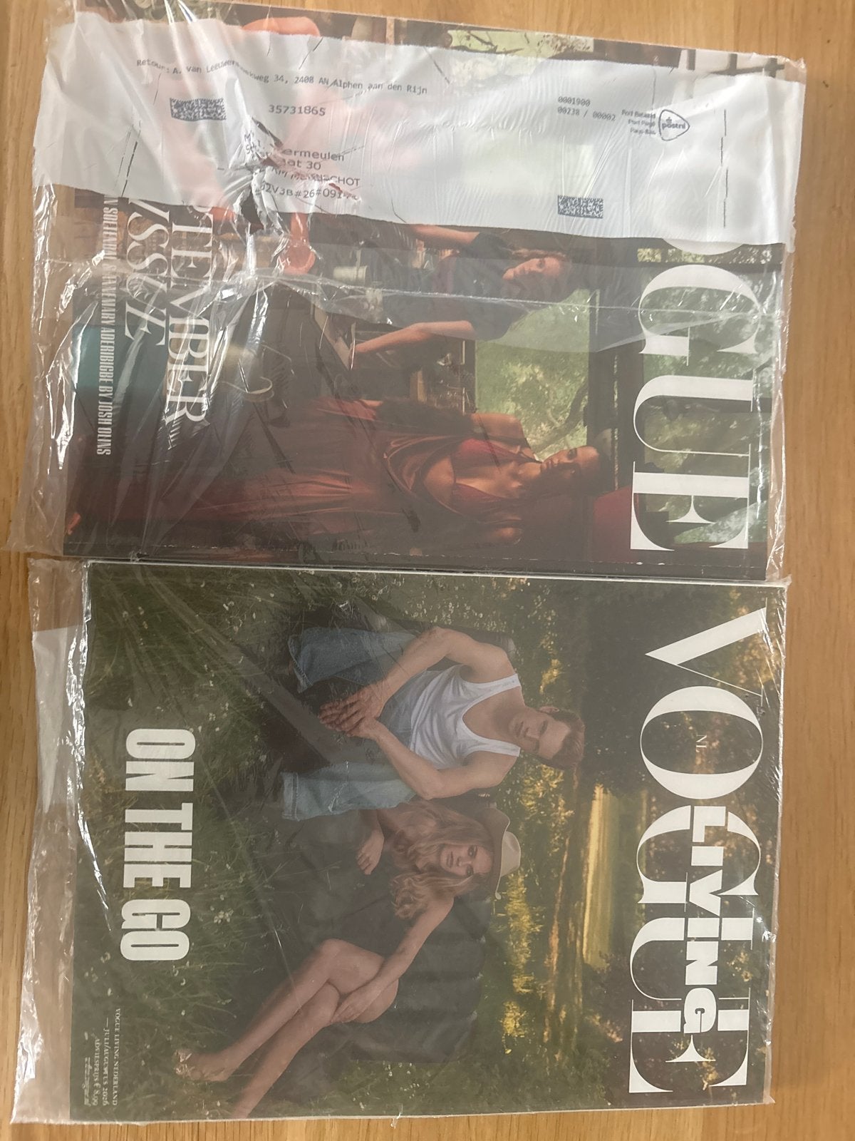 Vogue en Vogue Living Nederland - 2026, Boeken, Tijdschriften en Kranten, Ophalen of Verzenden, Nieuw, Glossy
