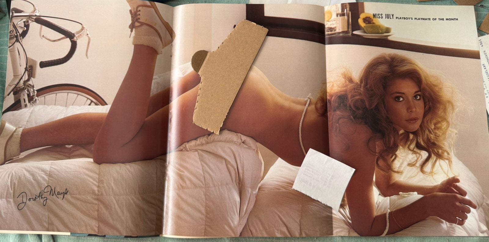 Poster Playmate 1979 Dorothy Mays Playboy, Rechthoekig Staand, Verzenden, Deurposter of groter, Zo goed als nieuw