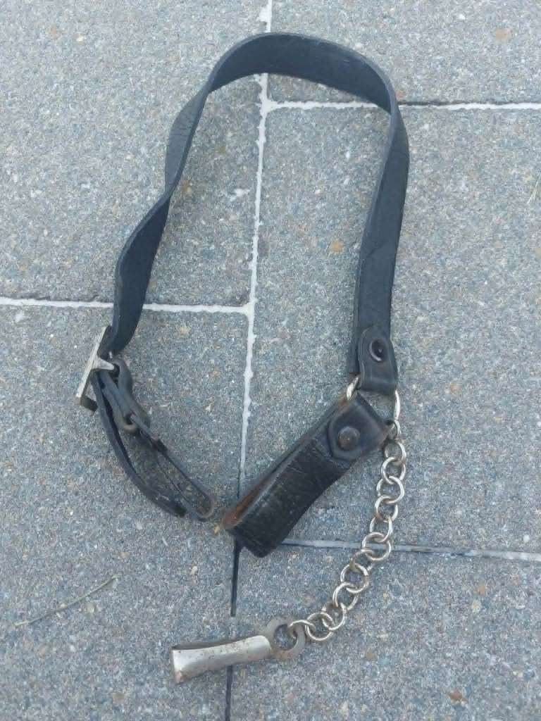 Duitse WO2 Polizei zwaardhanger, Ophalen of Verzenden, Landmacht, Duitsland, Kleding of Schoenen