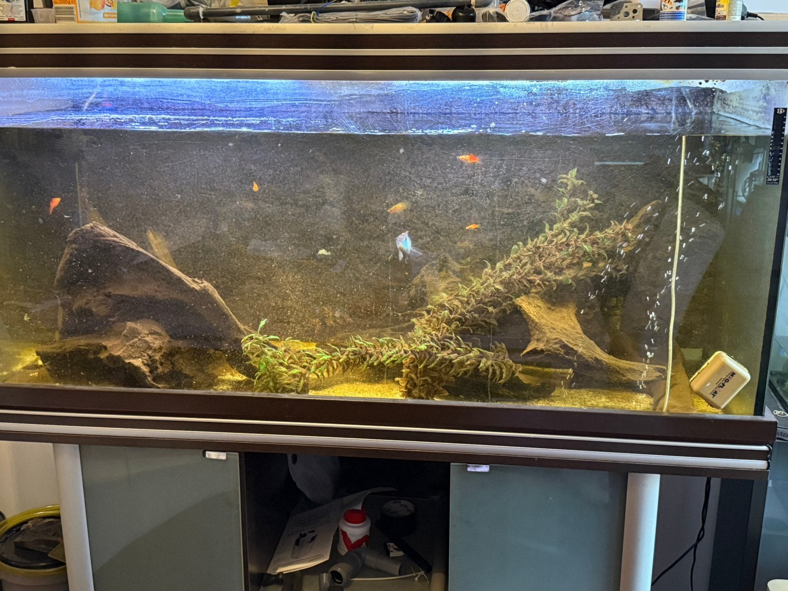 Groot aqualantis aquarium, Ophalen, Gebruikt