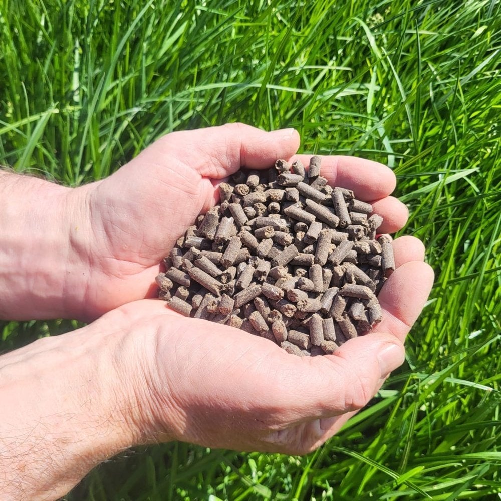 Kippenmestkorrels in zakken of in bigbag, Tuin en Terras, Ophalen of Verzenden, Mest