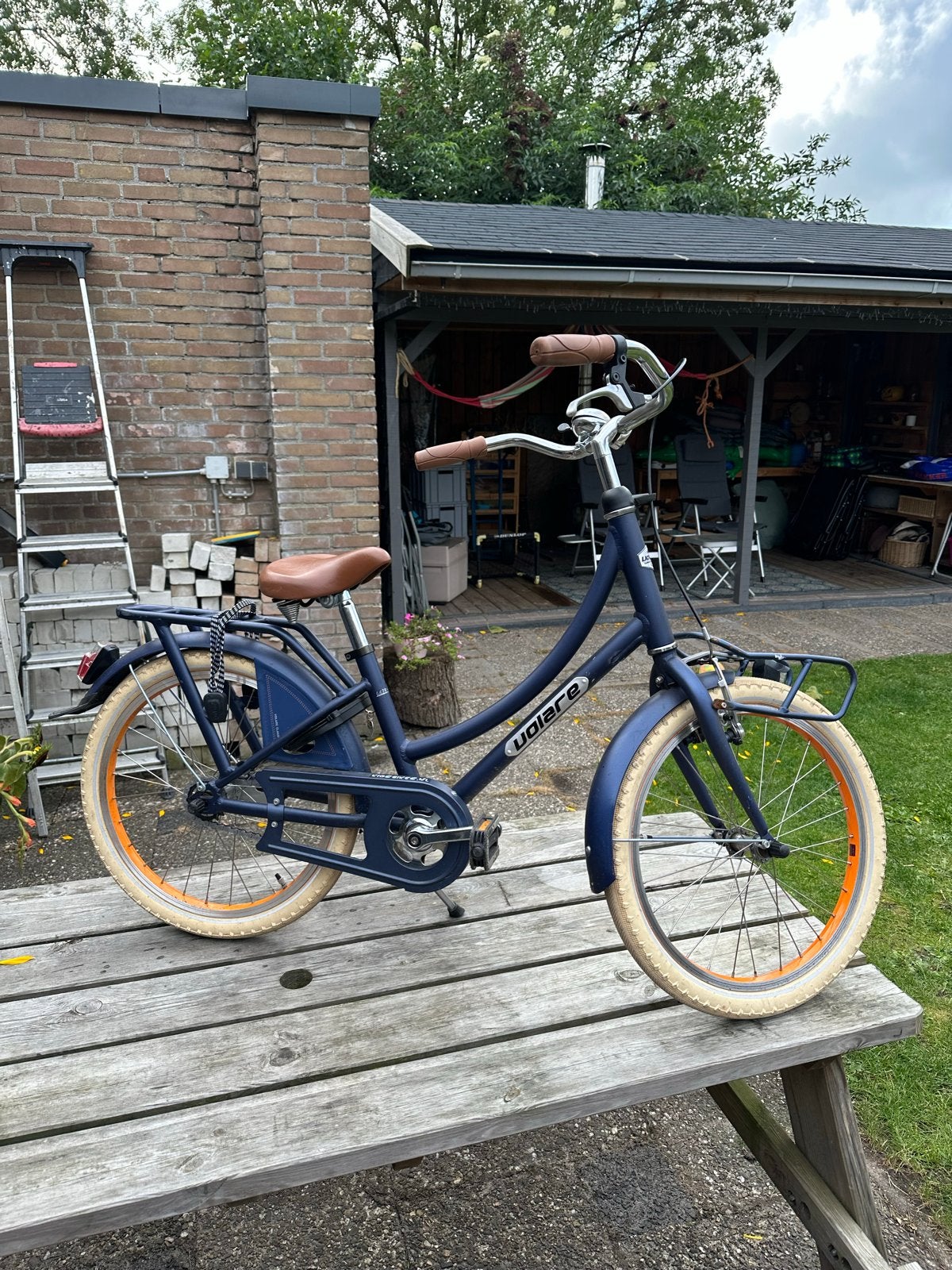 Kinderfiets 20 inch met voordrager en fietstassen, Ophalen, Gebruikt, Terugtraprem, 16 tot 20 inch