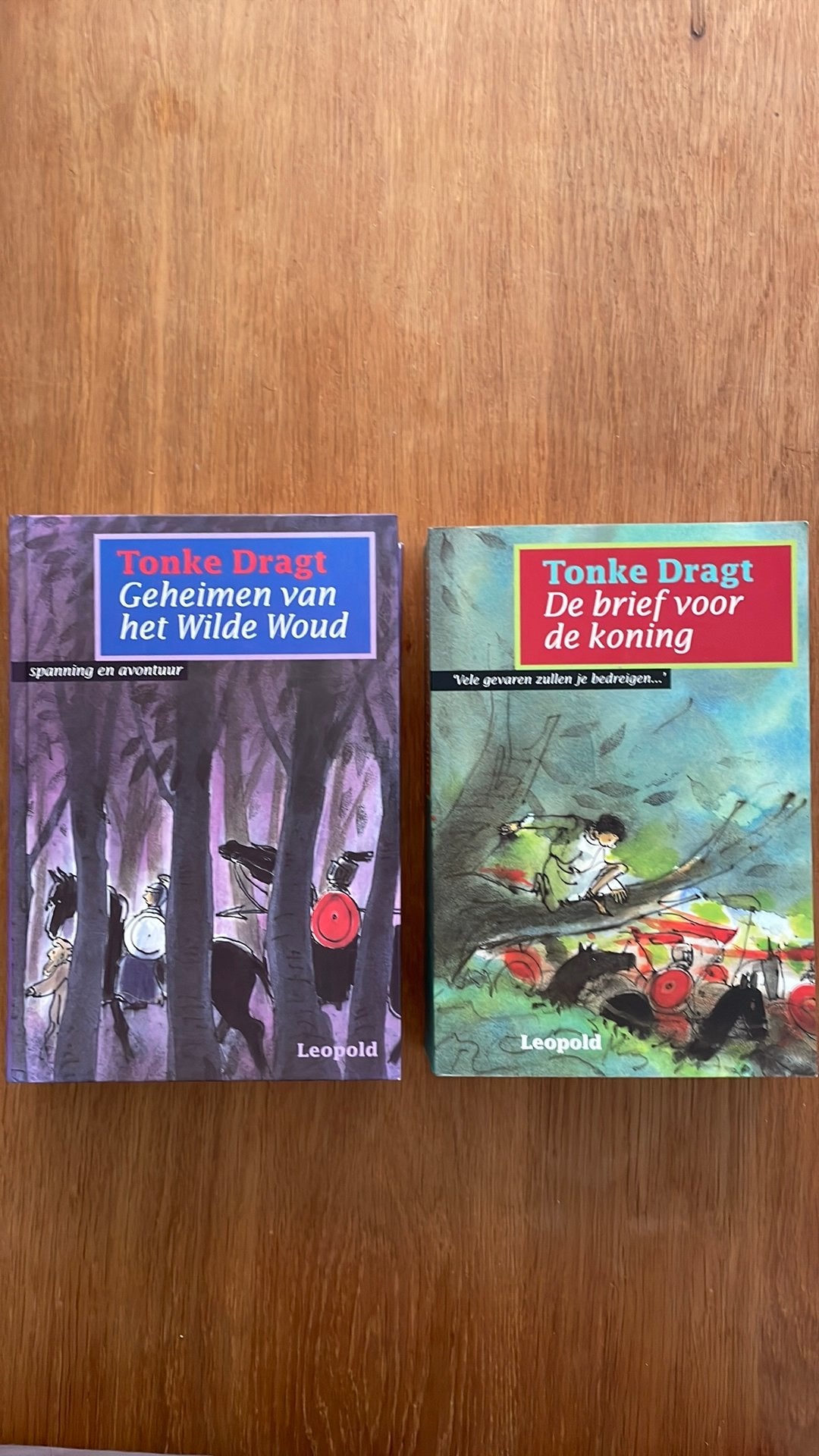 Tonke Dragt - de brief voor de koning - geheimen wilde woud, Ophalen of Verzenden, Zo goed als nieuw