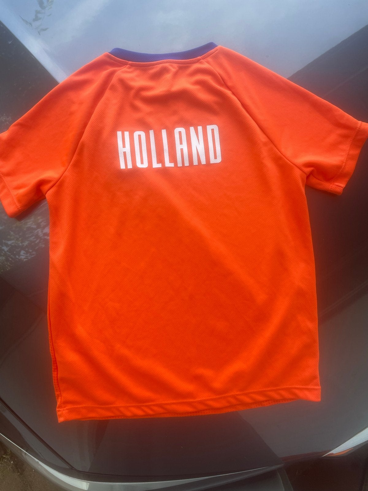 HEMA Holland T-shirt maat 134/140 Oranje Jongen/Meisje, Ophalen, Gebruikt, Jongen of Meisje, Shirt of Longsleeve