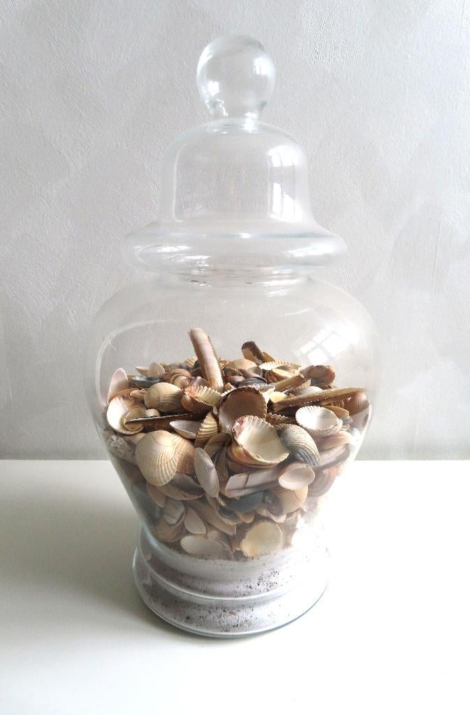Decoratieve Glazen Pot met Schelpen (4807), Ophalen, Zo goed als nieuw