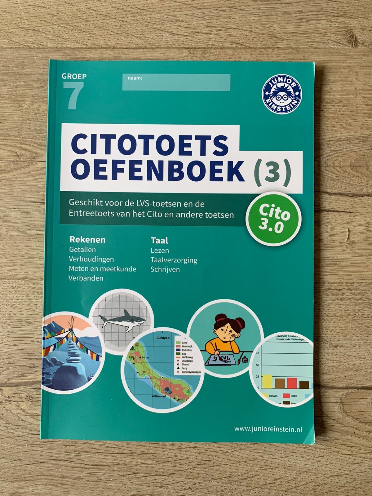 Citotoets groep 7 oefenboek rekenen en taal, Boeken, Schoolboeken, Ophalen, Zo goed als nieuw, Overige niveaus, Nederlands