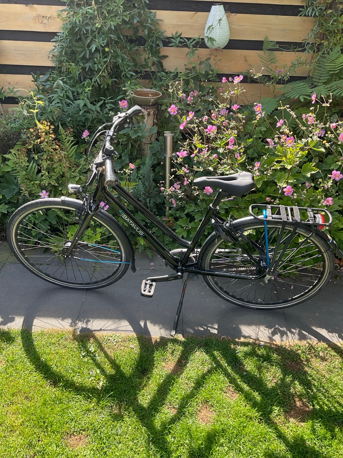 Batavus Dinsdag Alfine 8 versnellingen Gates Belt, Ophalen, Gebruikt, Batavus, Versnellingen
