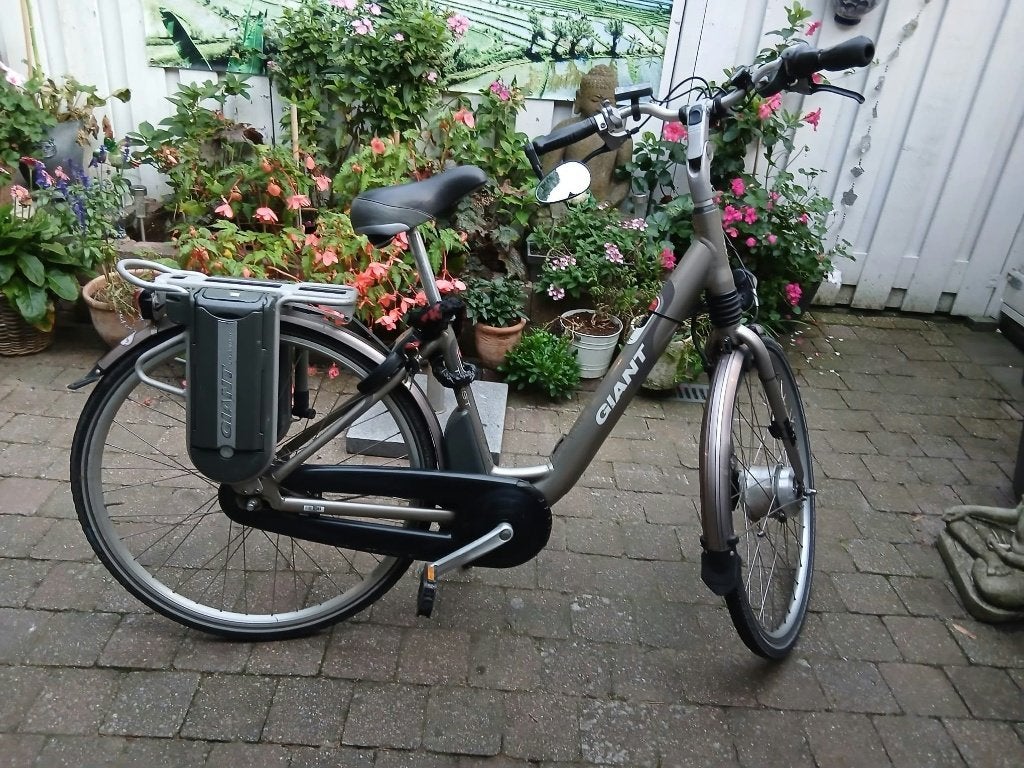 Foto 2 van fiets Giant Twist