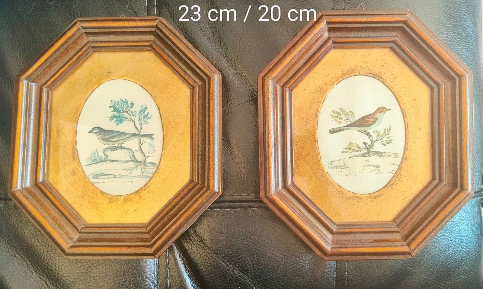 Set van 2 antieke vogel prenten in achthoekige lijst, Antiek en Kunst, Ophalen of Verzenden