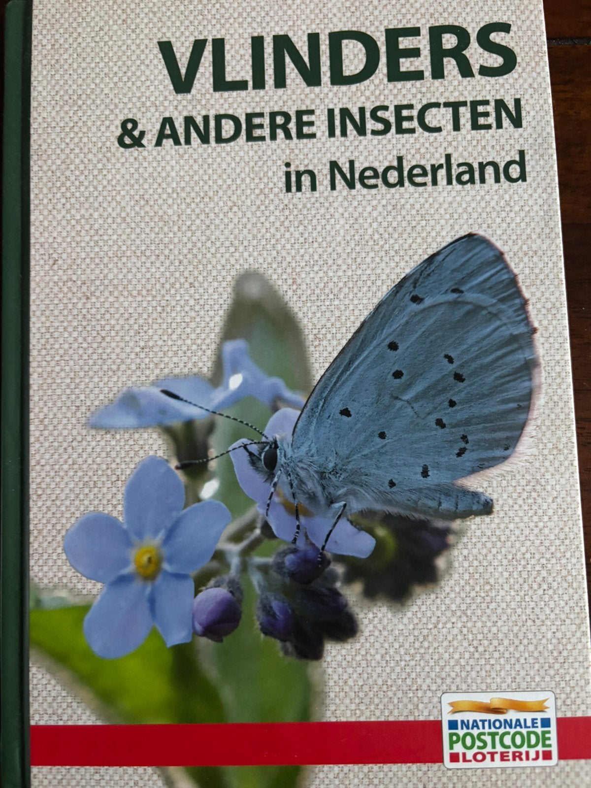 VLINDERS en ANDERE INSECTEN IN NEDERLAND Veel foto’s, Ophalen of Verzenden, Zo goed als nieuw, Overige onderwerpen