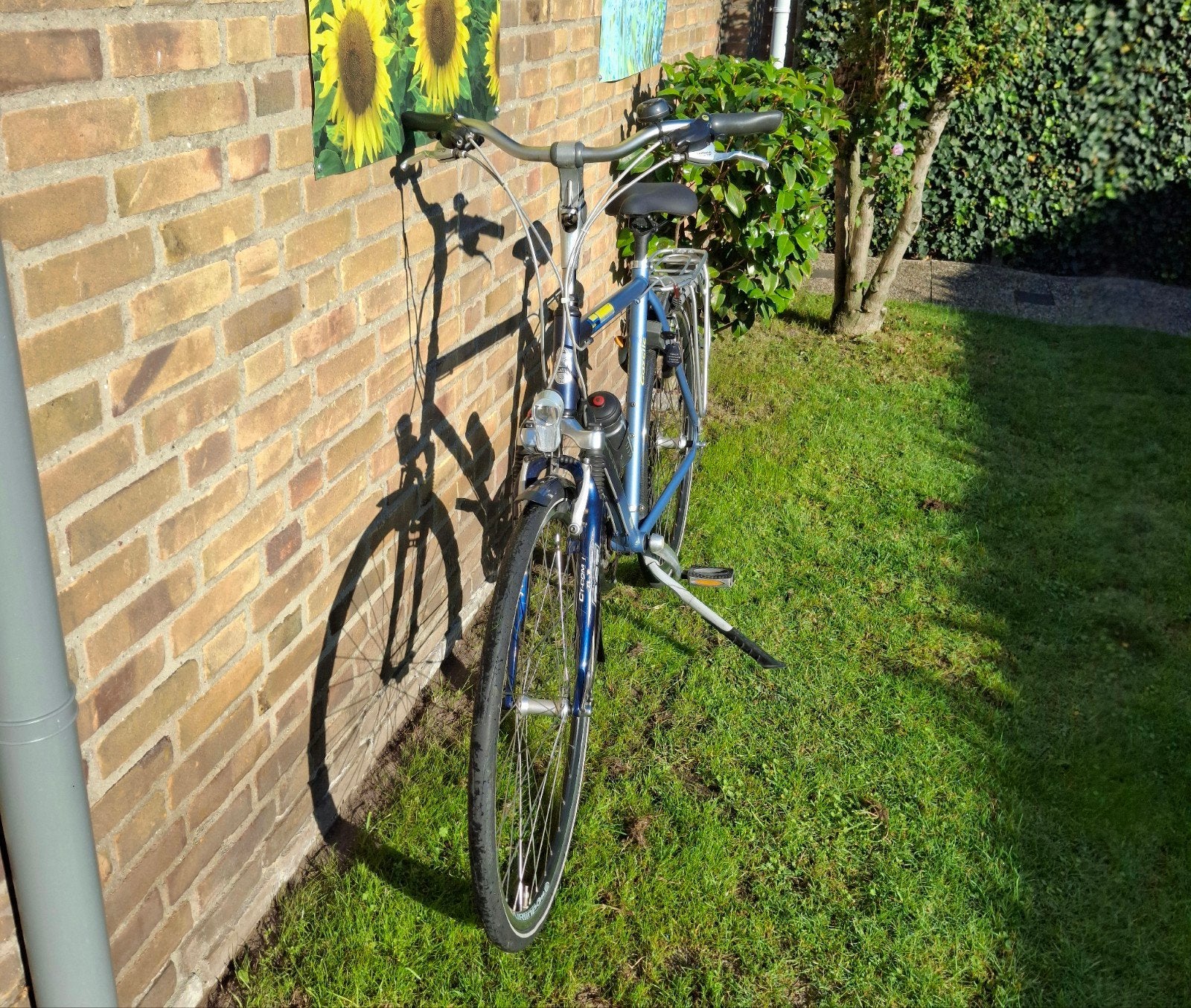 Foto 4 van Gazelle Bahia Track & Trail 28 inch - 3x8 versnellingen