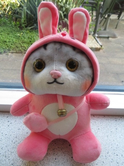Poes / Kat in roze konijnenpakje "gouden" belletje om de nek, Ophalen of Verzenden, Zo goed als nieuw, Roze, Kat