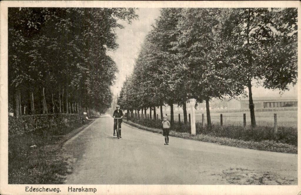 Harskamp - Edescheweg - straatzicht, Ophalen of Verzenden, 1920 tot 1940, Gelopen, Gelderland