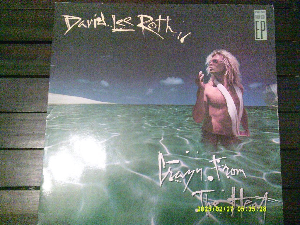 david lee roth lp, Ophalen, LP, Gebruikt, Pop