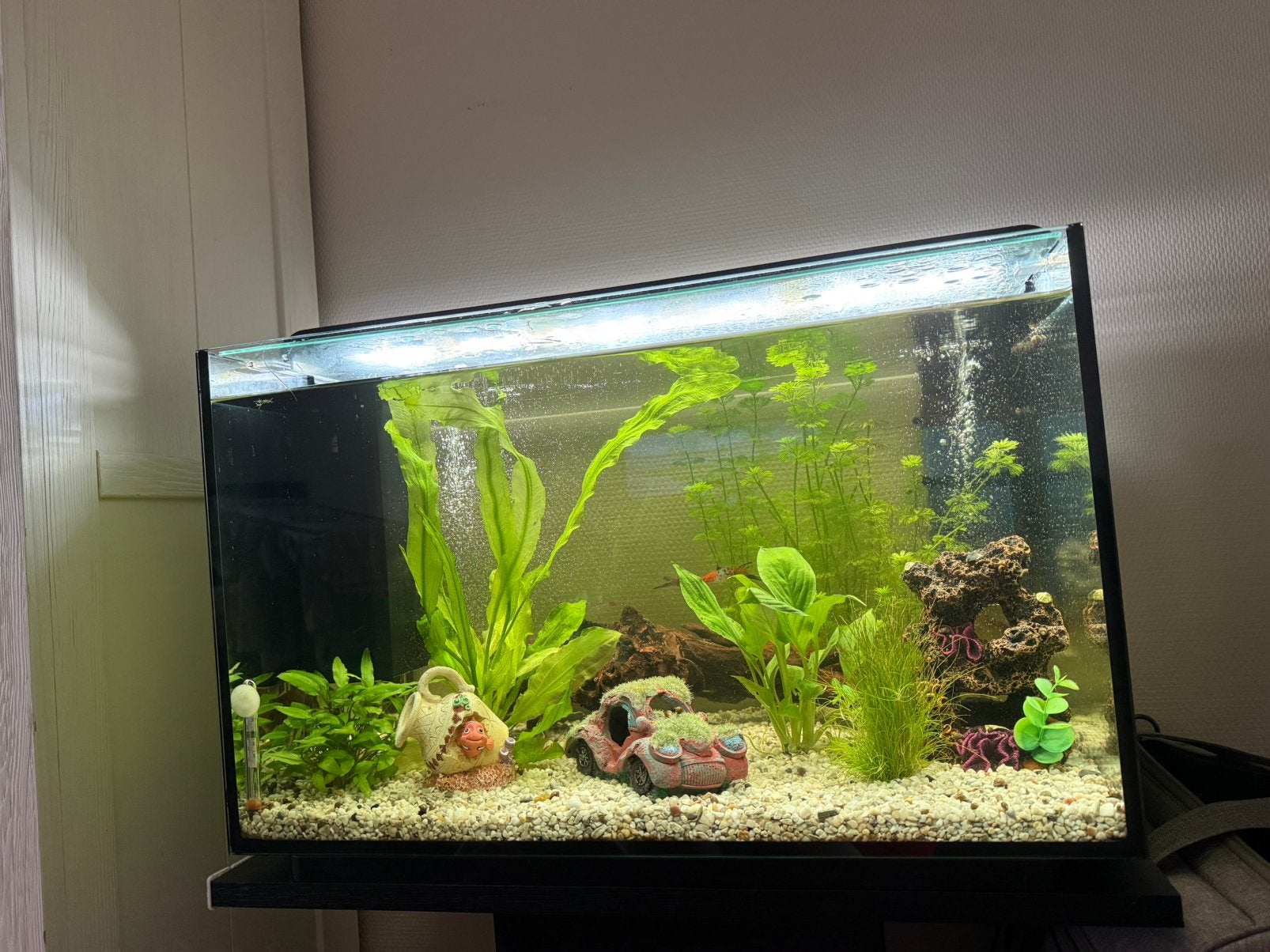 Compleet aquarium (inclusief kast) met vissen en toebehoren, Ophalen, Overige merken, Pomp, Gevuld zoetwateraquarium