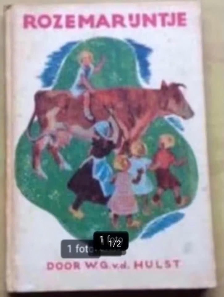 Rozemarijntje door W.G.v.d.Hulst uit 1958, Ophalen of Verzenden, Gelezen, Fictie algemeen