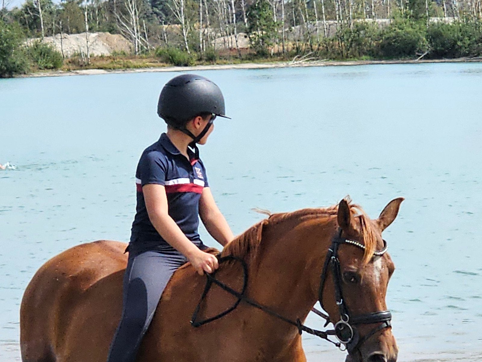Meerdere leuke pony's te koop, Merrie